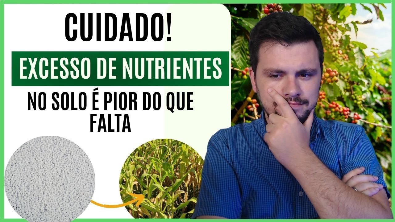 EXCESSO DE NUTRIENTES afeta a produ&ccedil;&atilde;o agr&iacute;cola