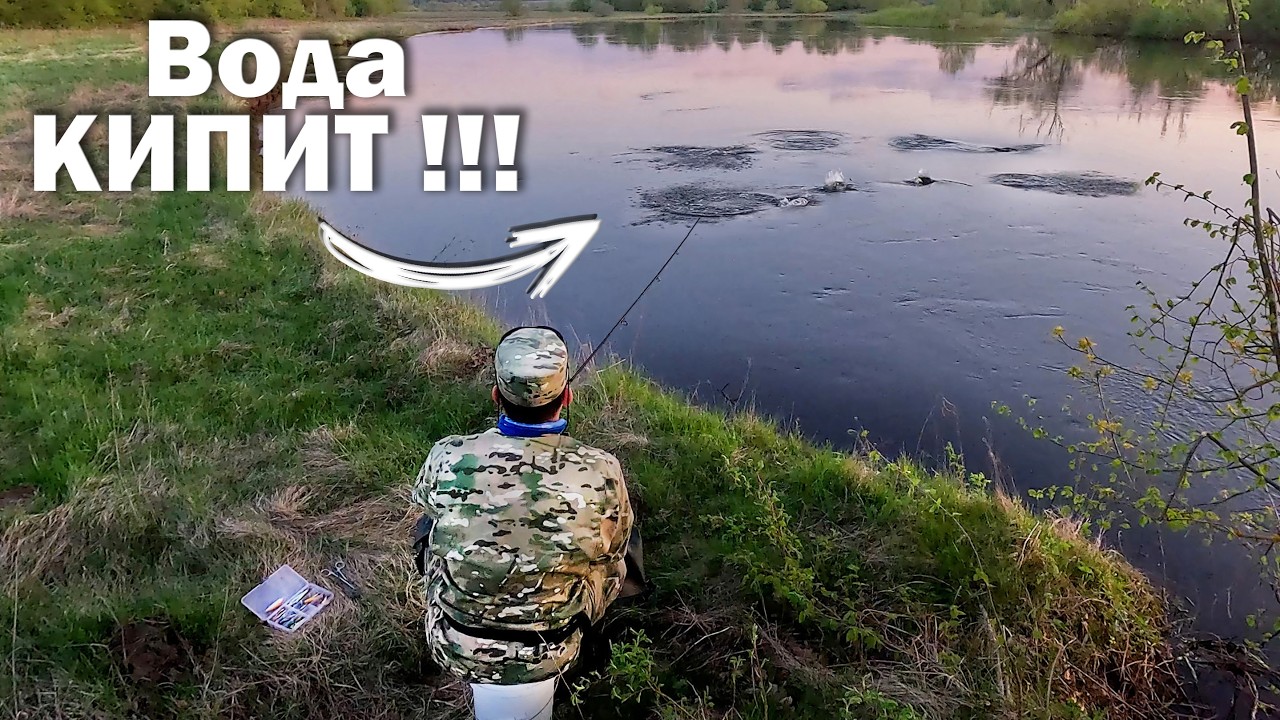 Ловля ЖЕРЕХА весной БЕЗ ОПЫТА ( Начинающий ). Спиннинг ВЕСНОЙ. Рыбалка. Часть 2