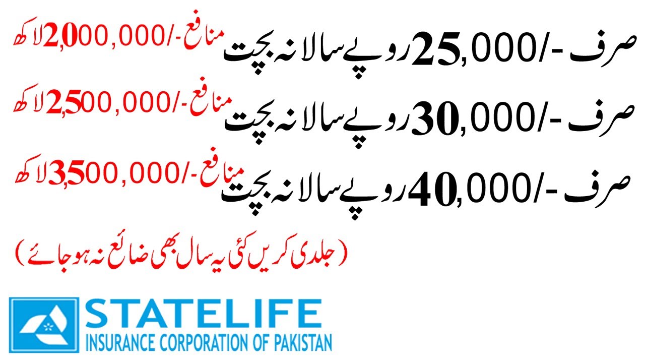 State Life Insurance Best Plan 2021 | Life Insurance Small Policy | State Life Insurance Policy