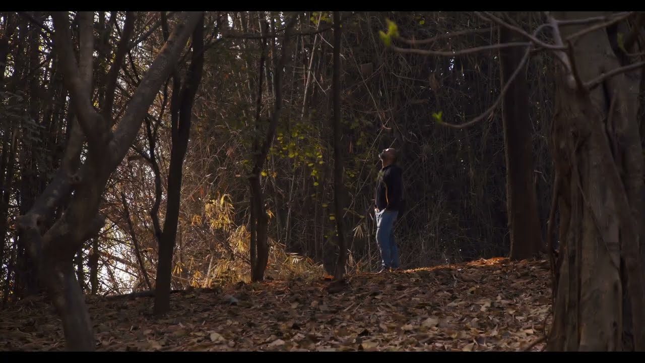 Beautiful Morning shot on BMPCC 4K 