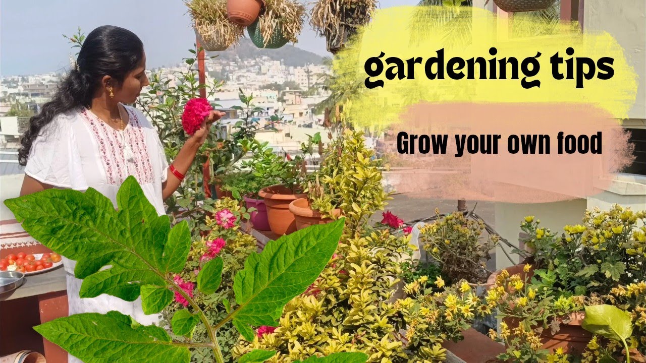 Grow your own food☘️🌴my rooftop garden tips ||ramadevika|| #gardeningtips #rooftopgarden #ramadevika