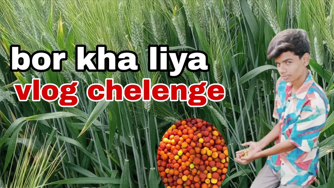 Bor kha liya vlog challenge 😋