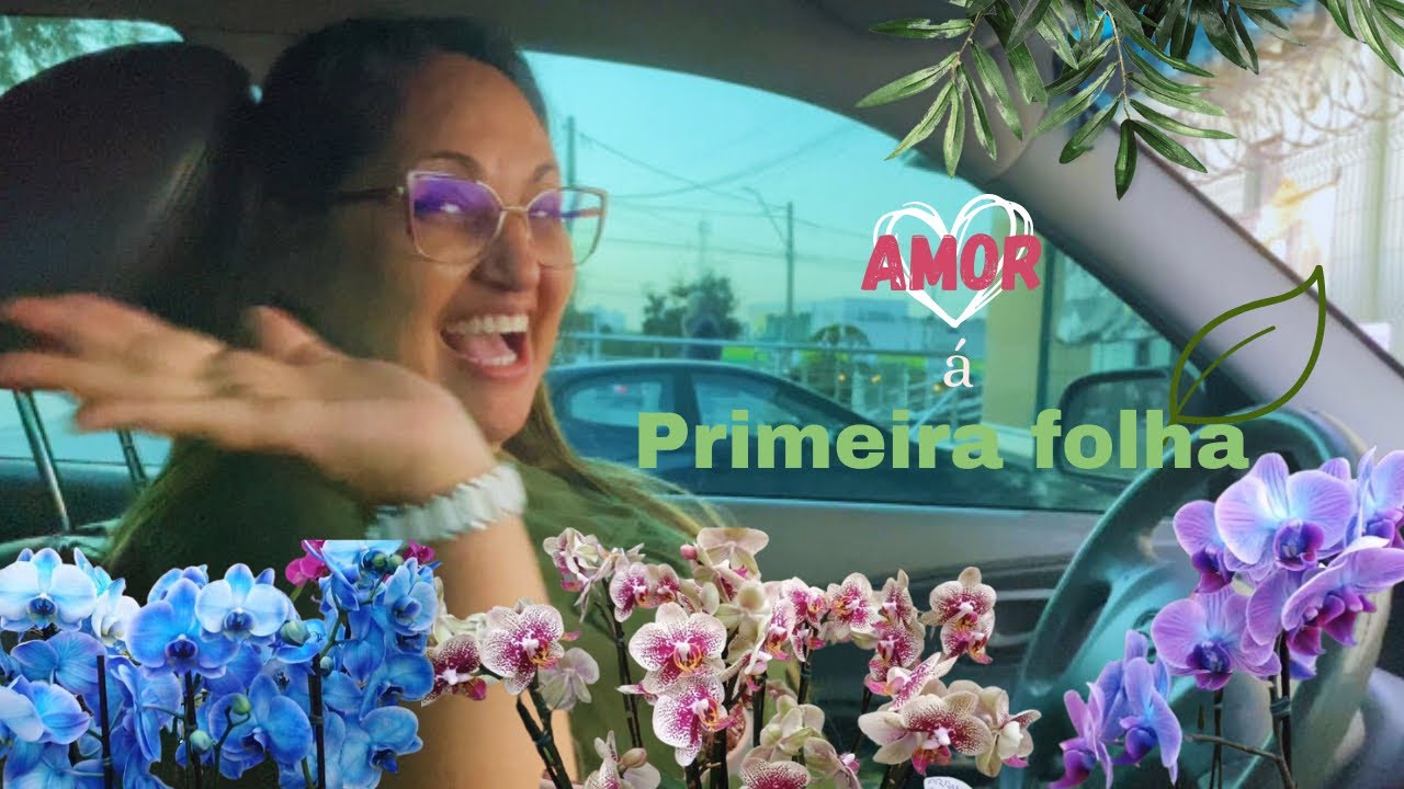 QUEM AMA PLANTINHAS PRECISA CONHECER ESSE LUGAR - Tour pela Matsuflora Goiânia (Parte 1)🌿💚