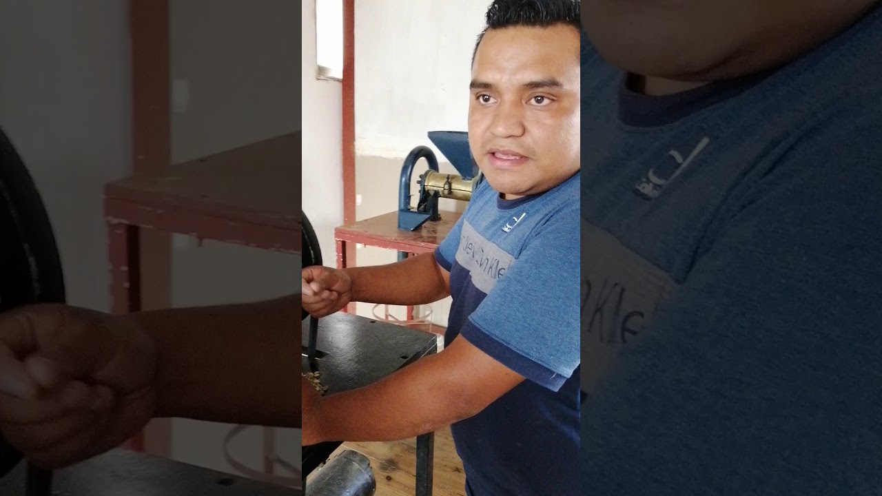Rendimiento de cafe Pergamino a oro