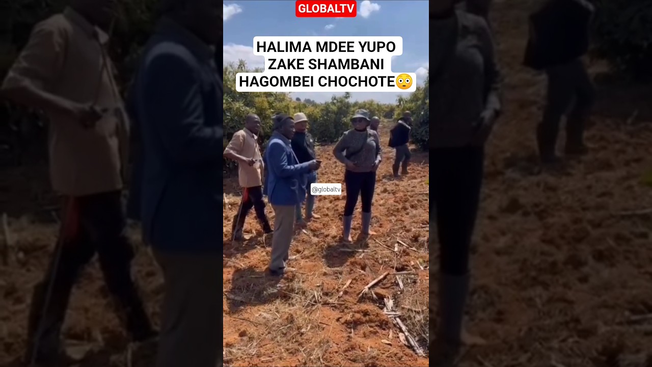 HALIMA MDEE YUPO ZAKE SHAMBANI HAGOMBEI CHOCHOTE😳 #globaltv #breaking #shortvideo #halima #chadema
