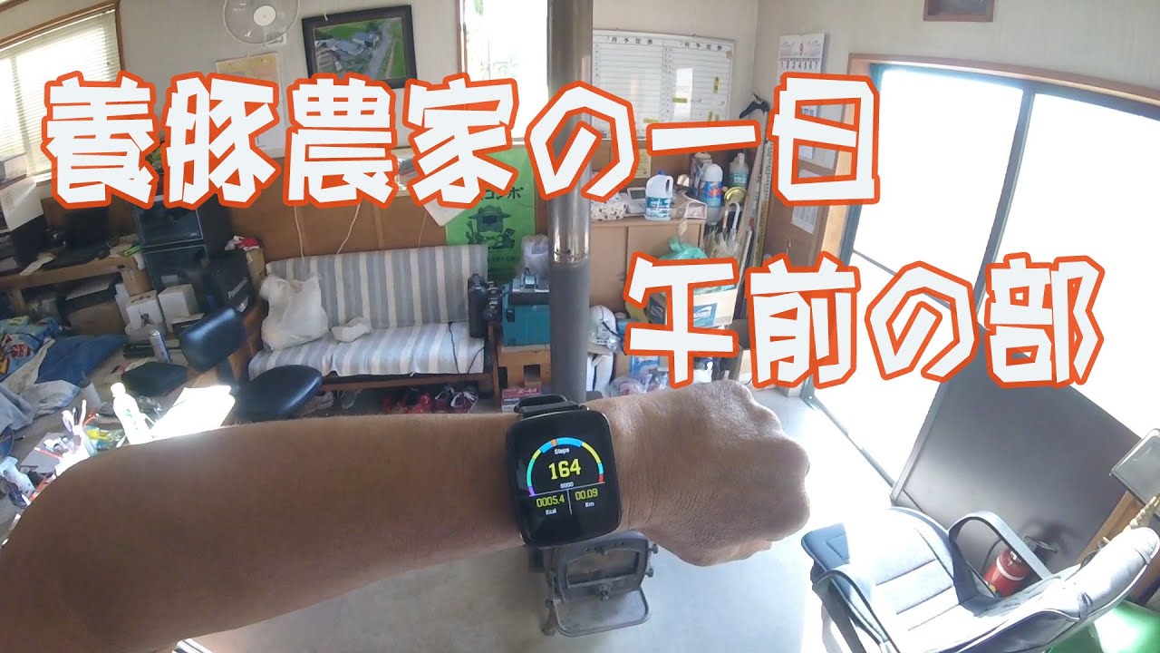 豚やさんのお仕事　午前の部