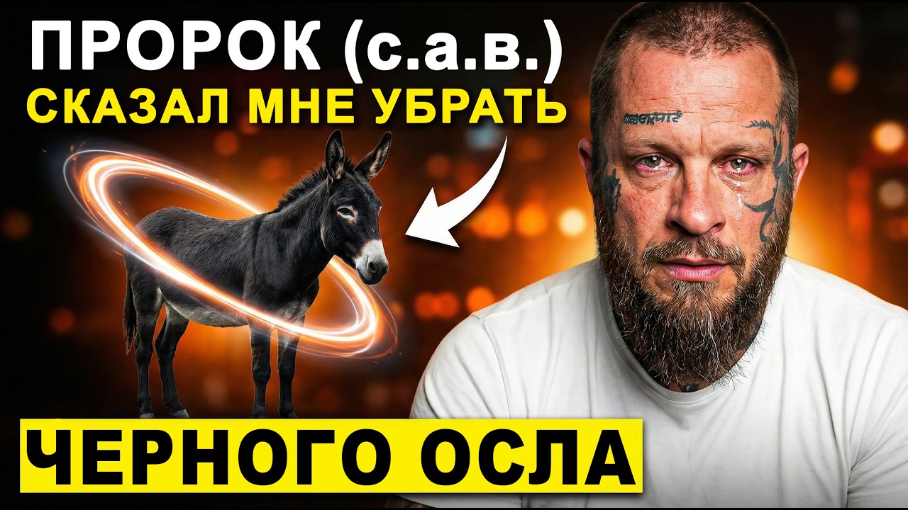 &laquo;Я принял ислам в Голливуде&raquo; &mdash; Пророк (мир ему) велел мне убрать чёрного осла во сне