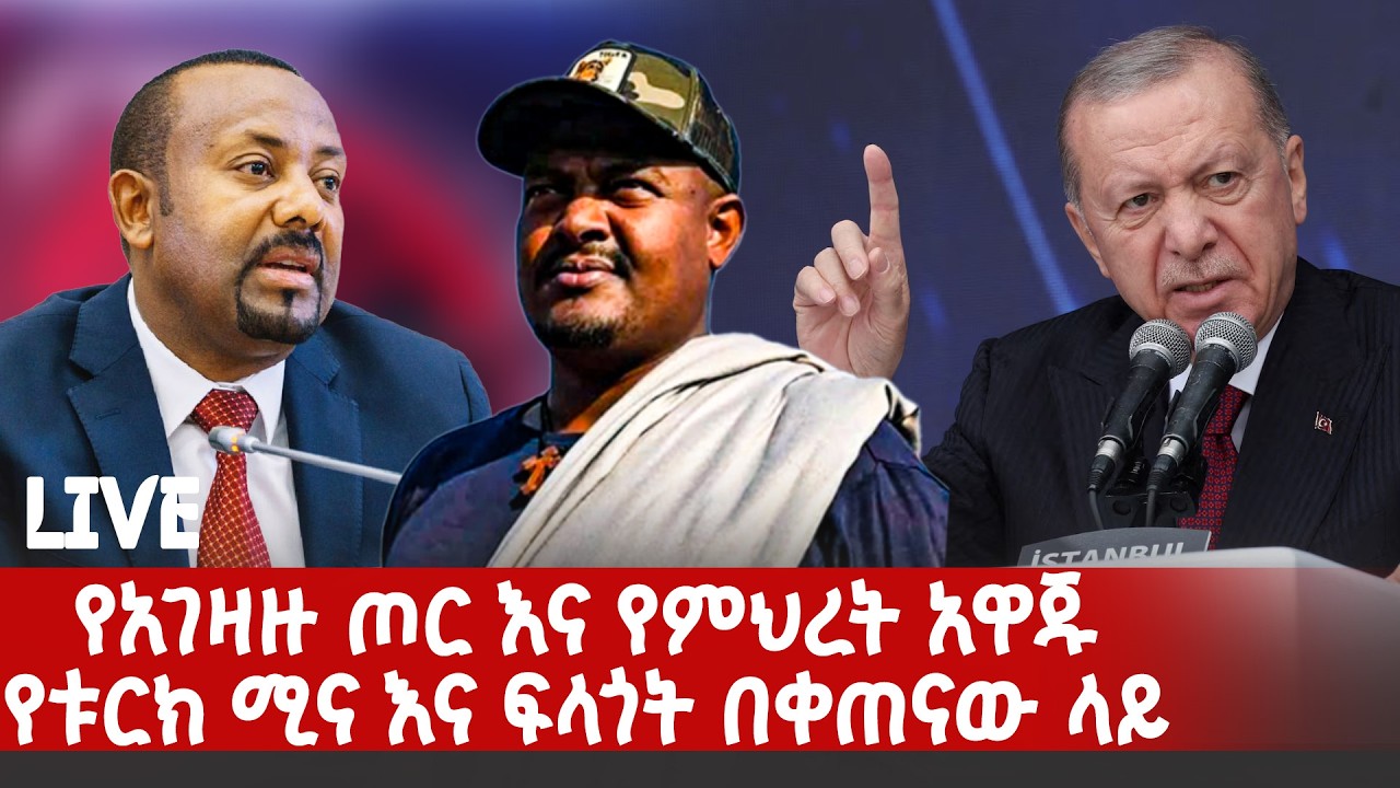 የአገዛዙ ጦር እና የምህረት አዋጁ | የቱርክ ሚና እና ፍላጎት በቀጠናው ላይ