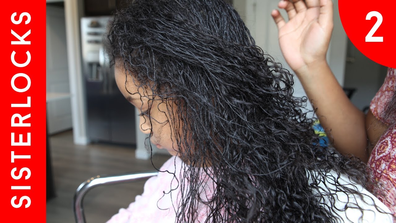 2 Month Micro Dreadlocks Update | Budding, Sisterlocks