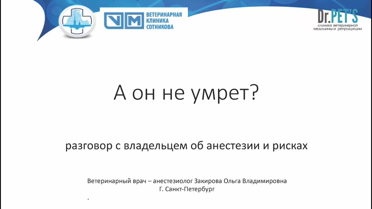 А он не умрет? Разговор с владельцем об анестезии и рисках