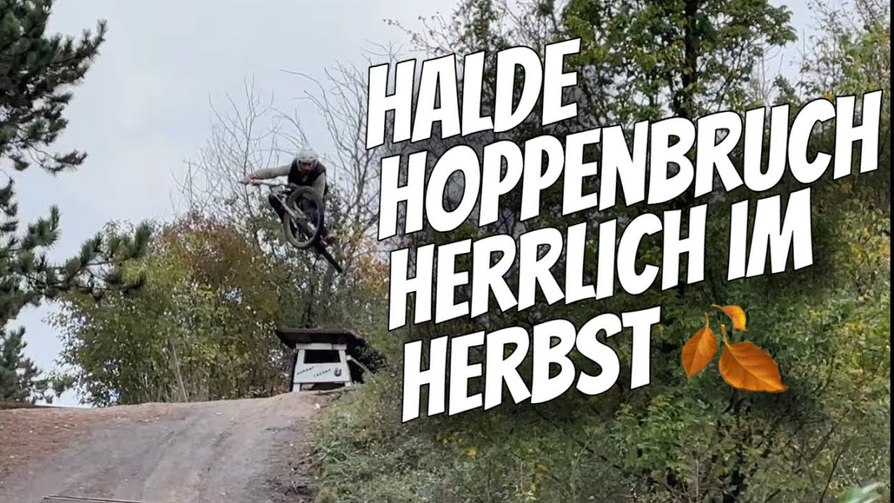 Halde Hoppenbruch Herbst 2023 mit Nakidaii