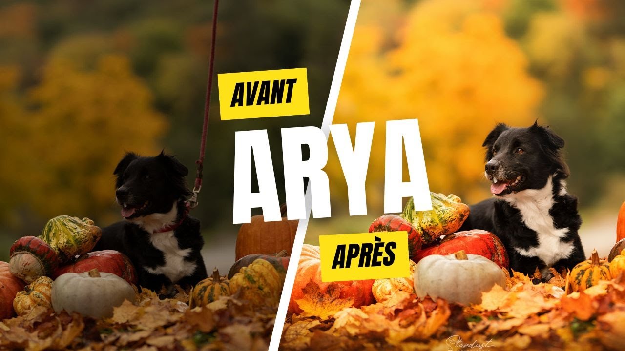 Retouche photo silencieuse : Arya (PS)