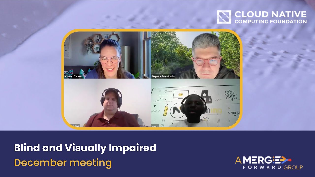 Blind & Visually Impaired Initiative (BVI) Meeting - December 2025