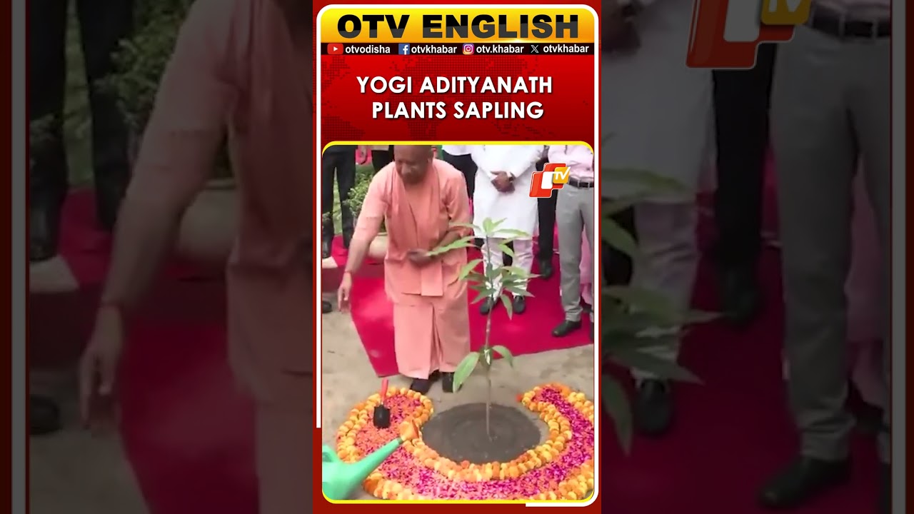 UP CM Yogi Adityanath Plants Sapling In Lucknow For World Environment Day