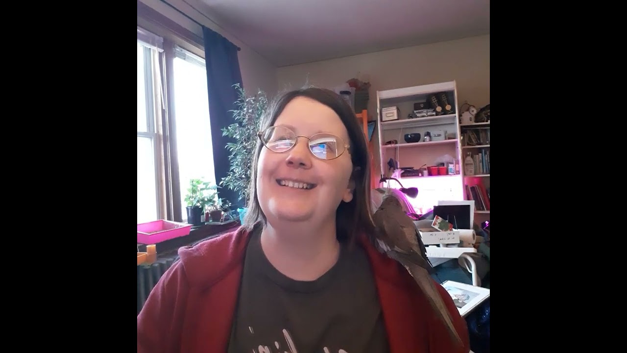 Karaoke If I could talk to the Animals