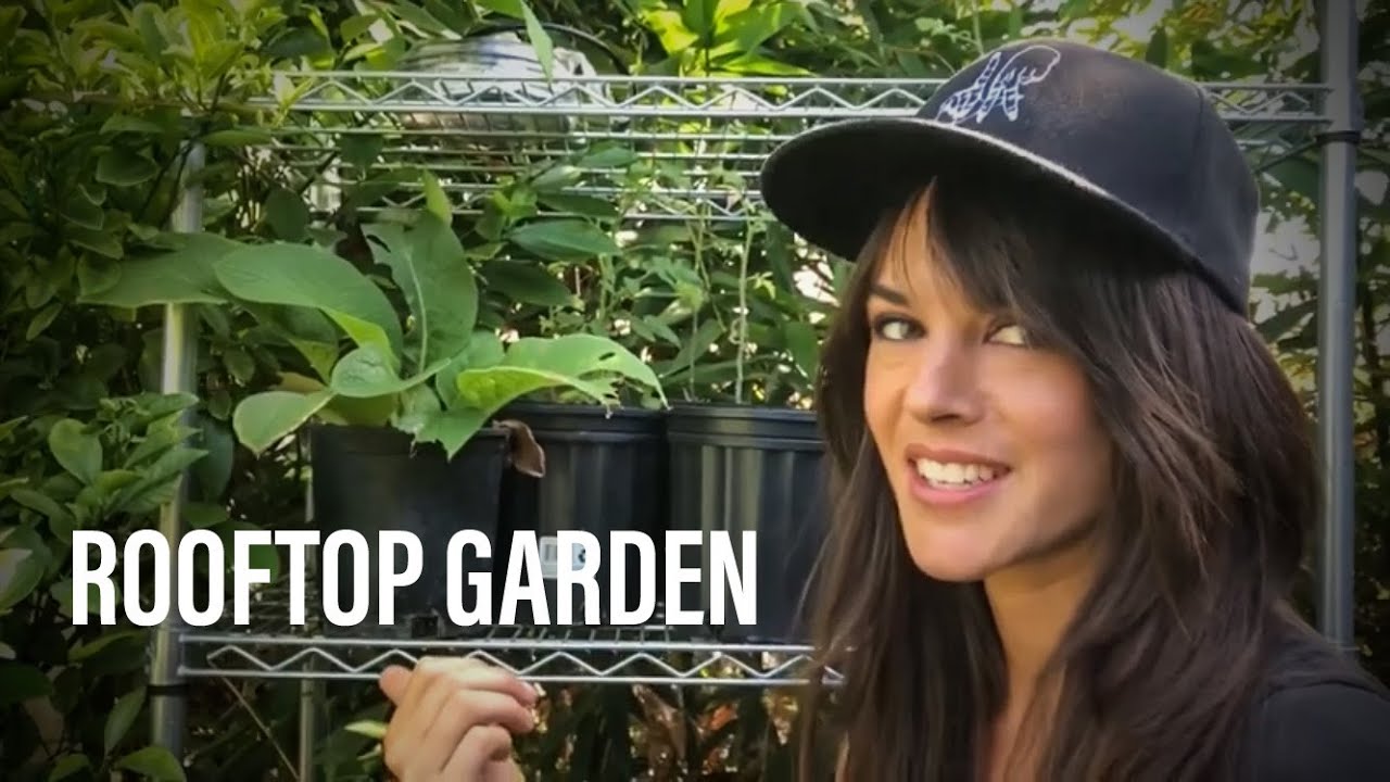 Urban Rooftop Garden Summer Tour - West Hollywood
