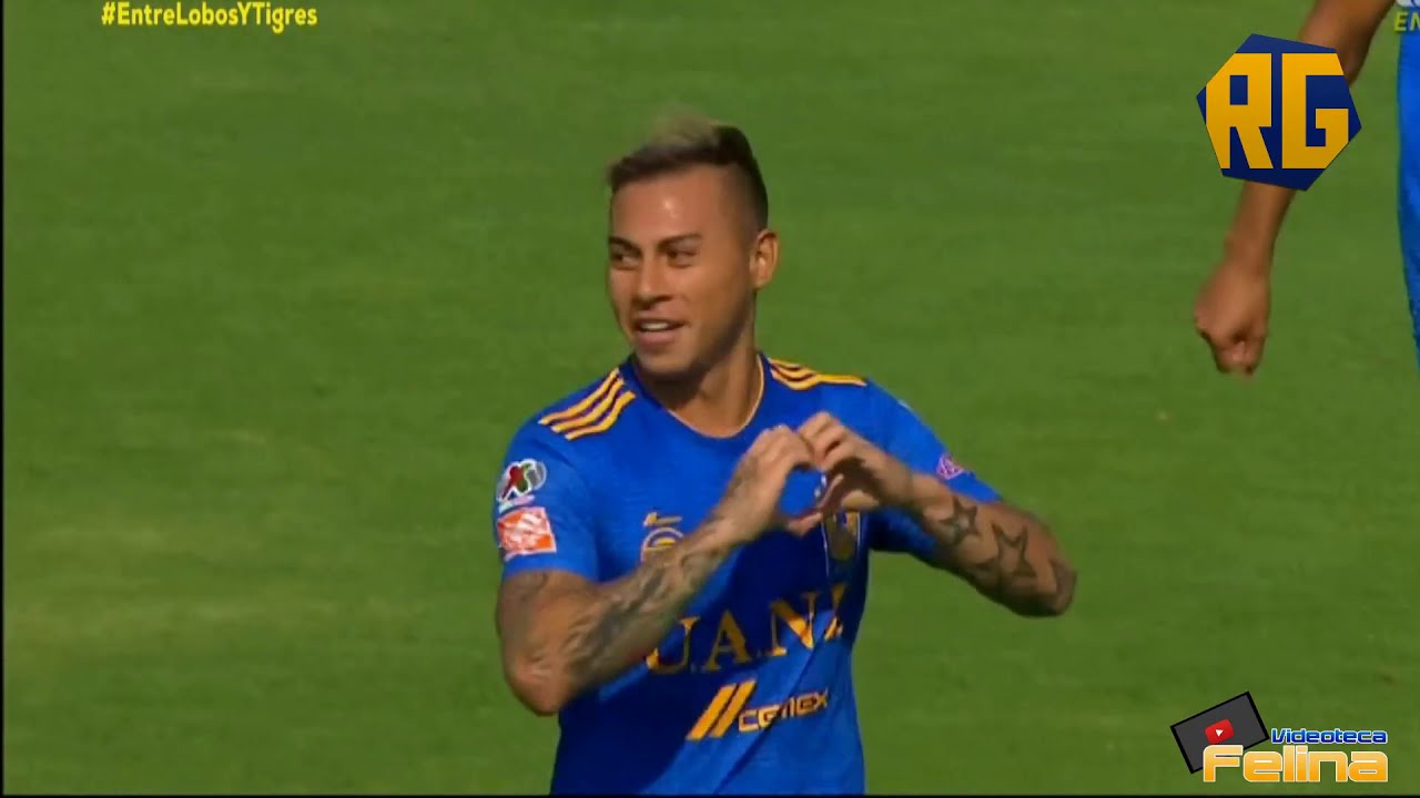 LOS 39 GOLES DE EDUARDO VARGAS CON TIGRES