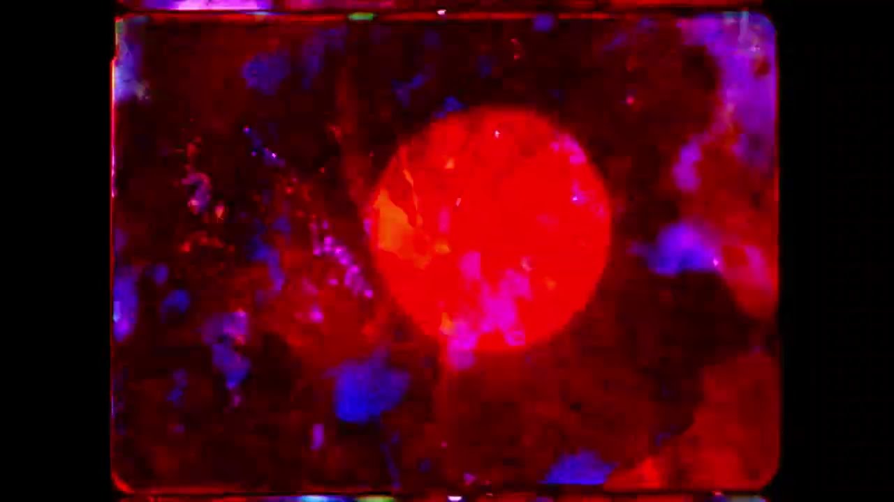 ANTIMIROTVOREC ) - A Red Veil Of Tears