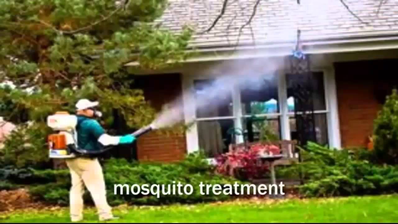 Pest Control in Charleston SC | Anchor Pest Management | 843.906.9457