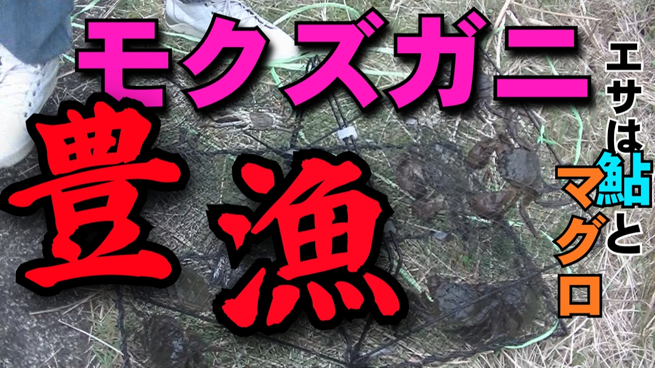 途中、カニ捕り名人乱入!!! 秘伝のエサを伝授される！