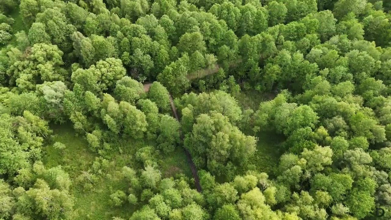 Didžiausios Suvalkijos upės, Šešupės, ištakos, Lenkija