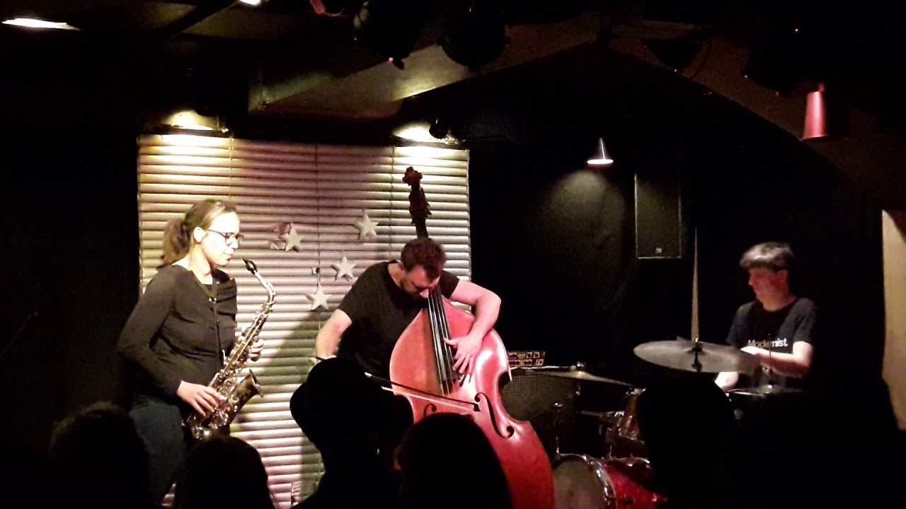 Falb/Satzinger/Holub Live am 14.04.2018