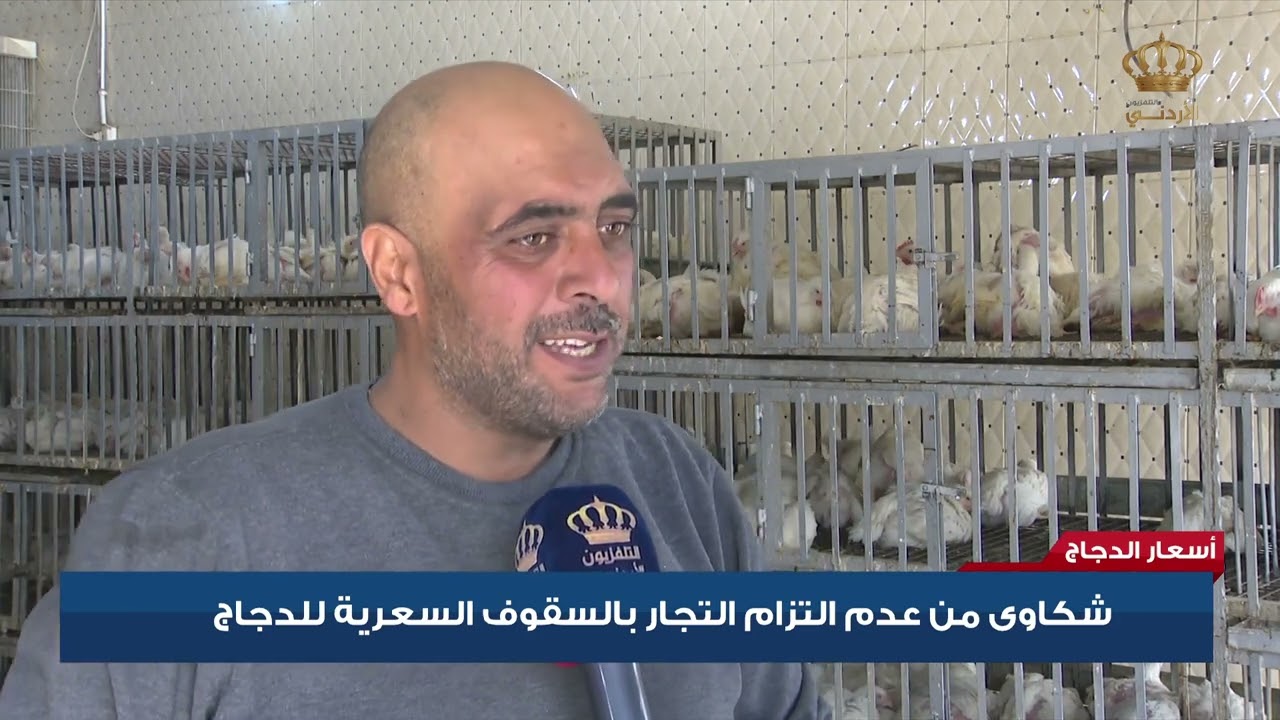 أسعار الدجاج | شكاوى من عدم التزام التجار بالسقوف السعرية للدجاج