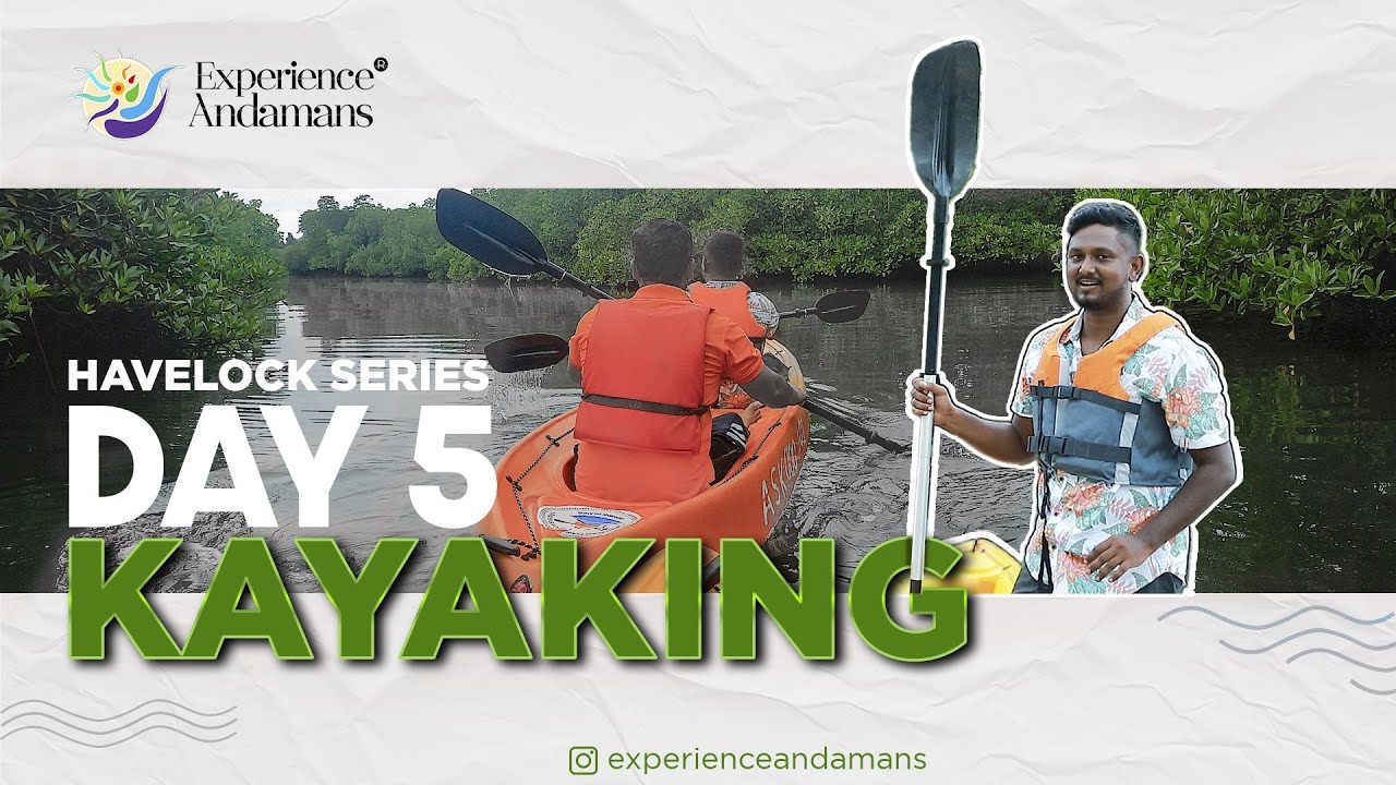 Havelock Guide Ep 5: Kayaking Through the Mangroves #andamanislands #nightkayaking #bioluminescence