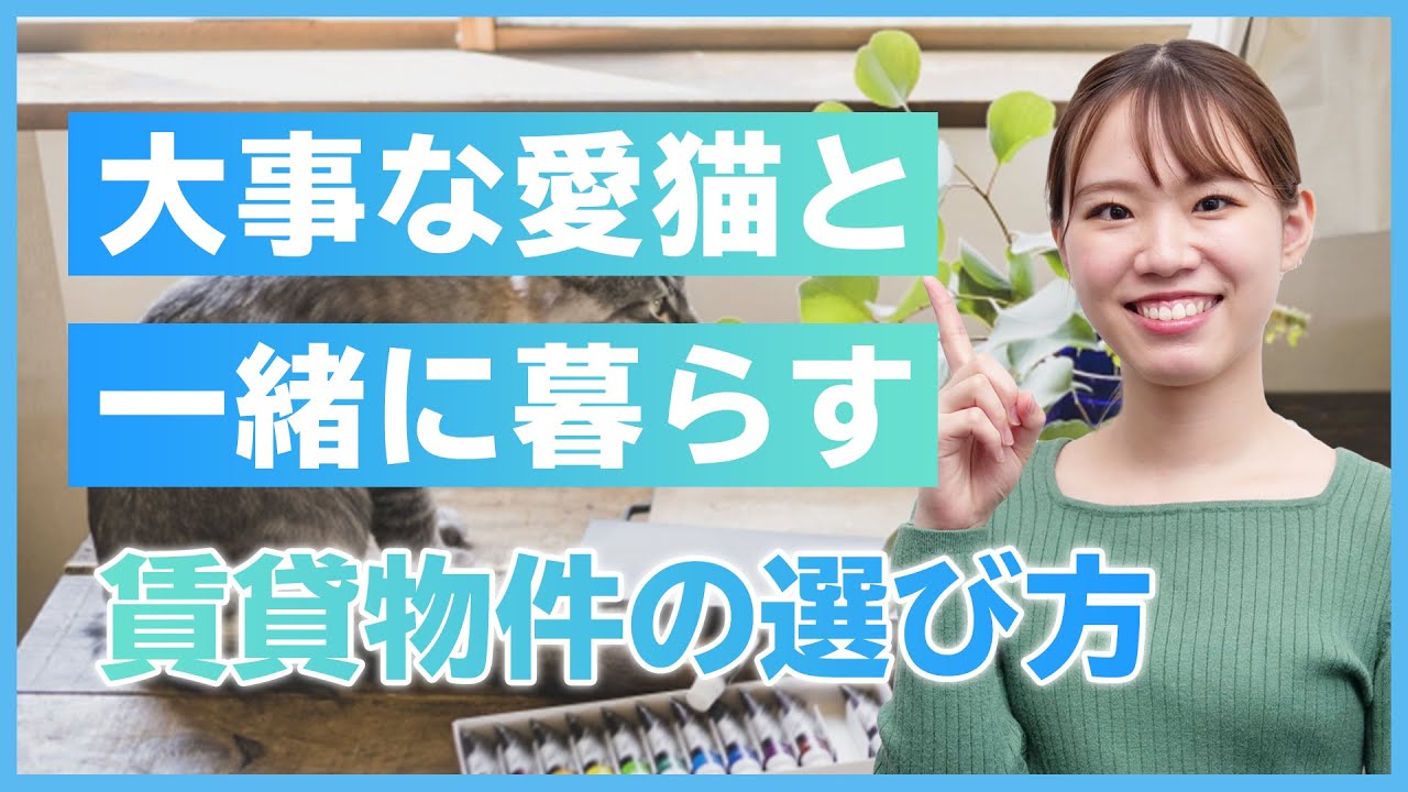 大事な猫と暮らすための賃貸物件選び！「ペット可」だけではNGな理由とは【初心者必見！賃貸暮らしガイド】