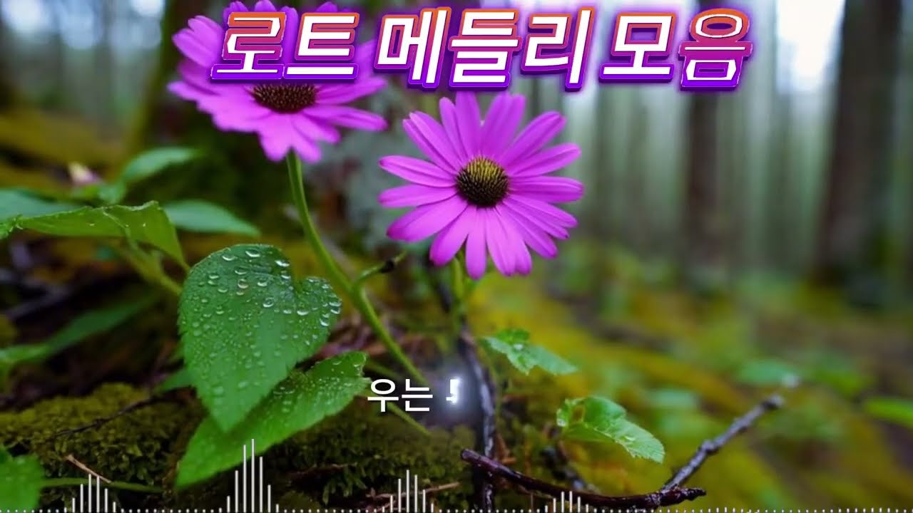 흘러간 옛노래 뽕짝 메들리 가사 포함 💕 광고없는 트로트노래모음 🎶 듣기좋은 트로트메들리