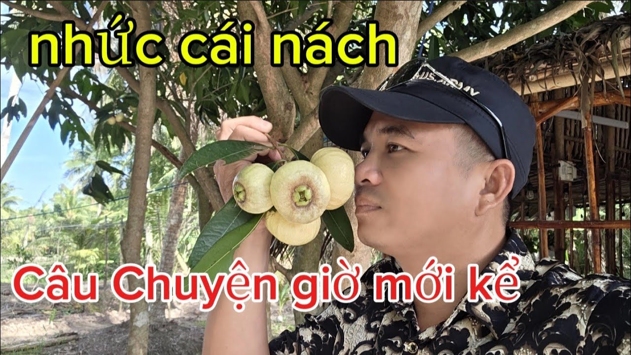 xuyên tạc, cơ hội ,nhận thức