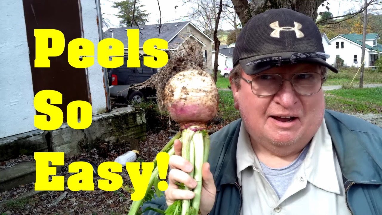 How to Peel Turnips the Easy Way!!!