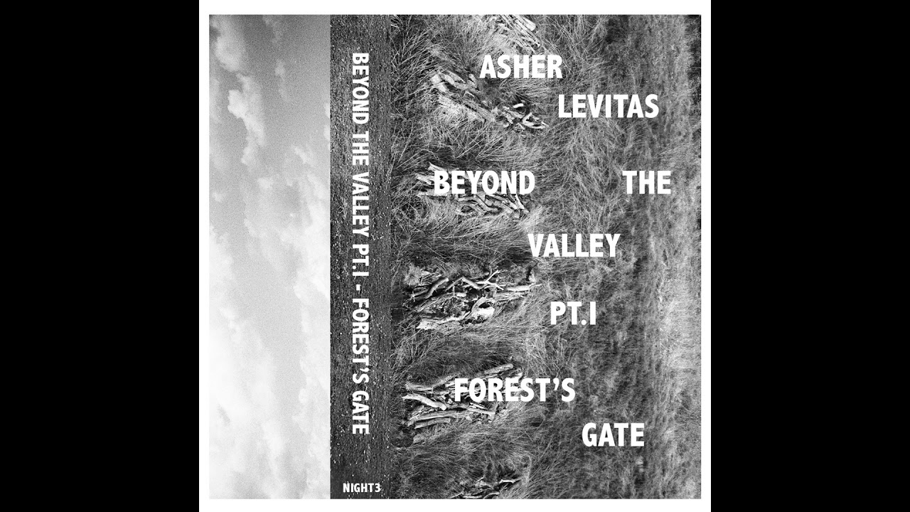 Asher Levitas - Beyond The Valley Pt I 'Forest's Gate'