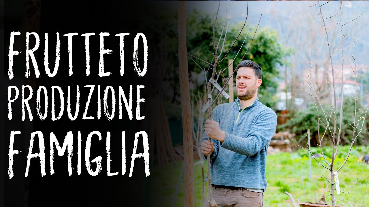 IL MIO FRUTTETO COMPLETO 2020