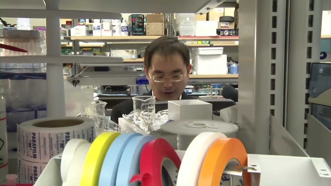 The Methodist Hospital Research Institute - The Department of Nanomedicine