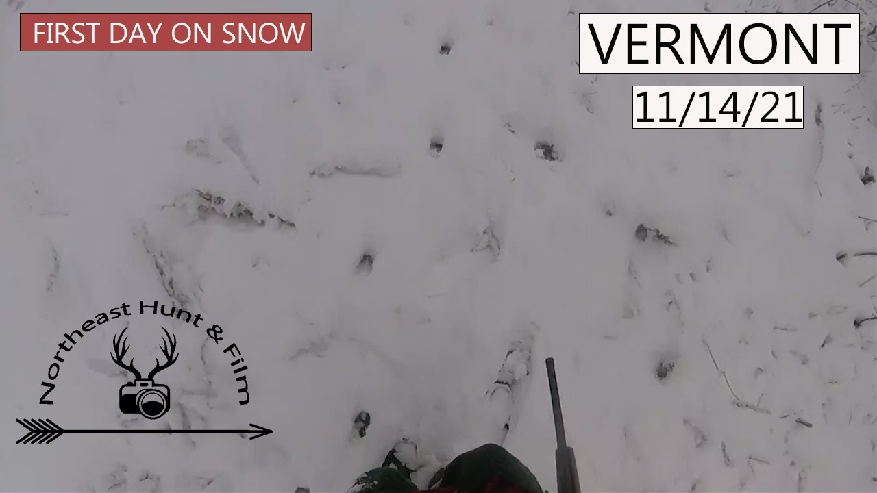 FIRST DAY TRACKING! November 14th 2021 Green Mountain National Forest Vermont.
