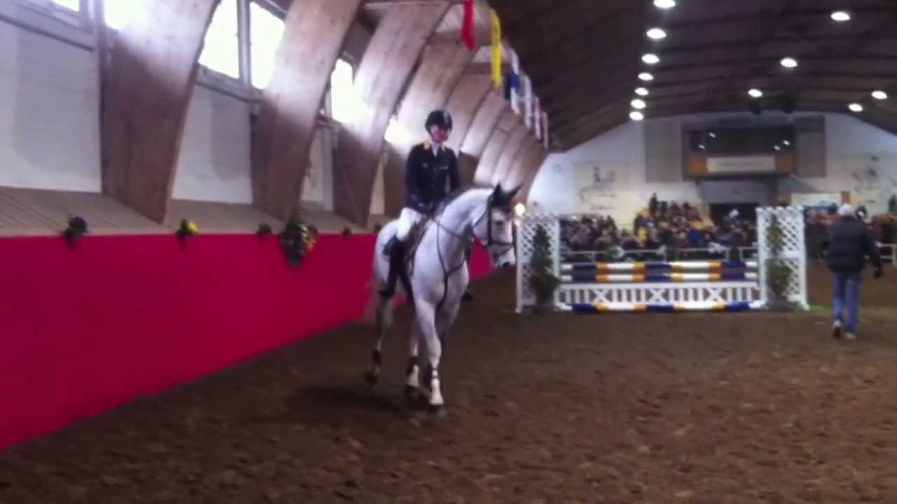 BUTTON SITTE "Hengste in Bern 2013"