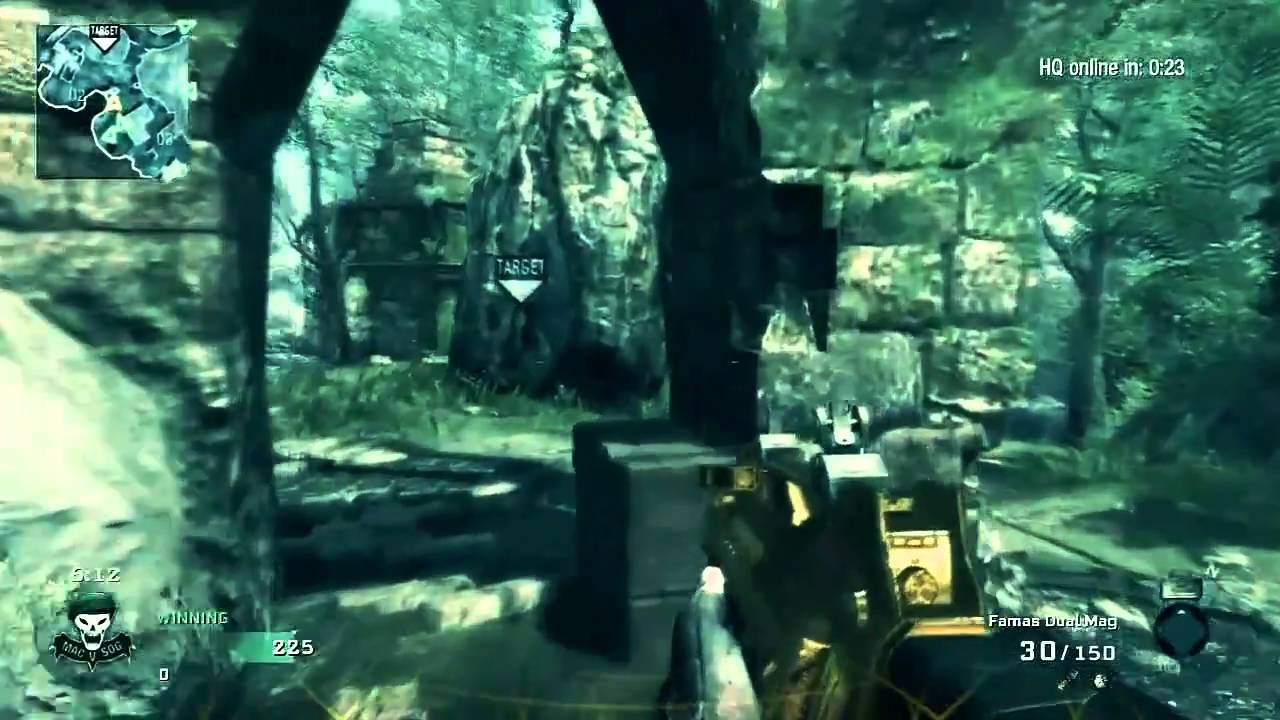 OMG Dw - BlackOps Montage 