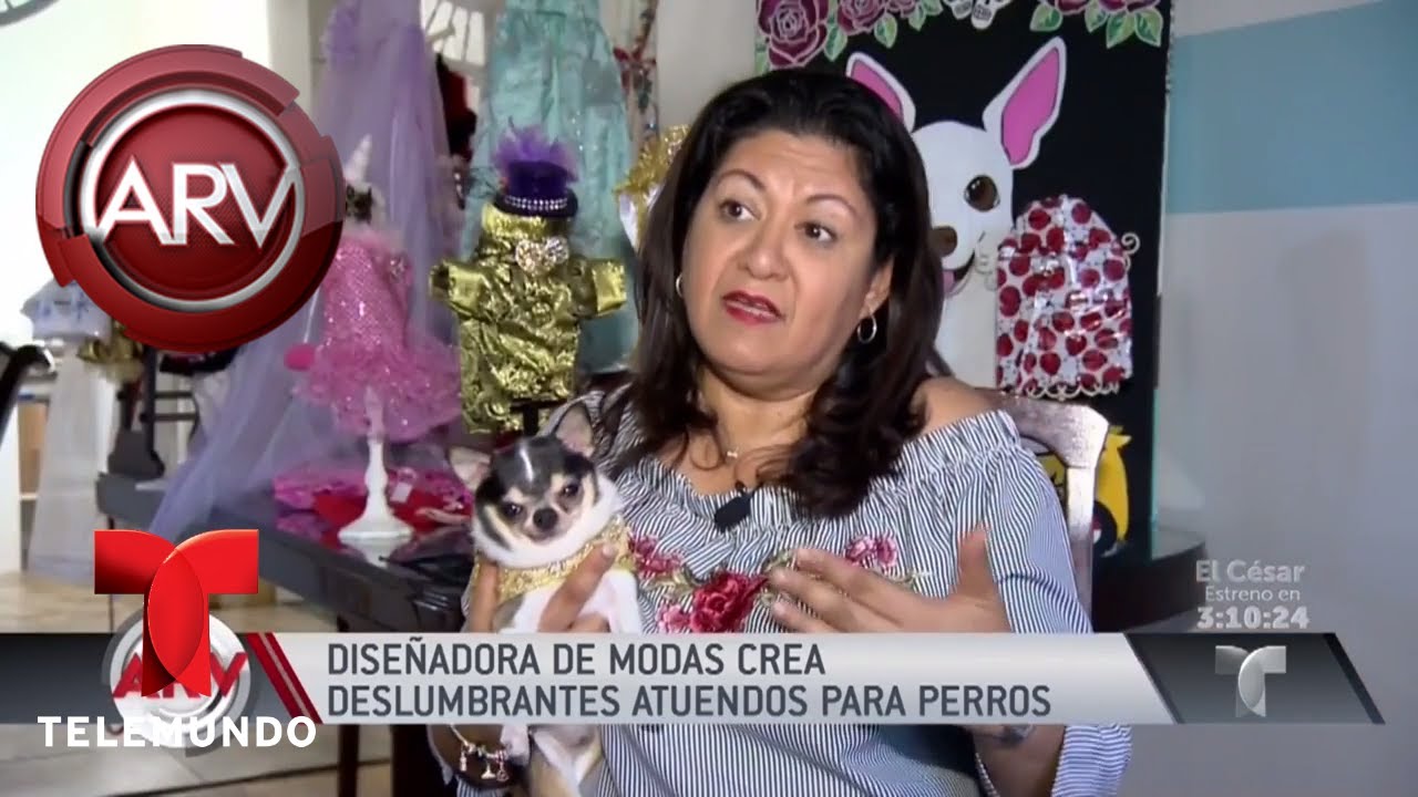 La &uacute;ltimo en moda canina y que roba la atenci&oacute;n | Al Rojo Vivo | Telemundo