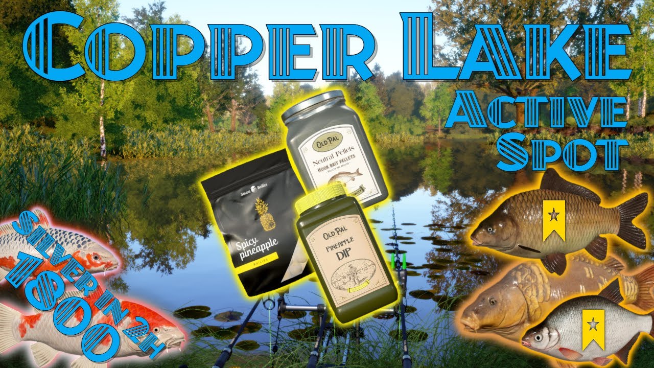 Russian Fishing 4 RF4 Copper Lake Active Spot 1800 Silver in 2h 2 Trophys