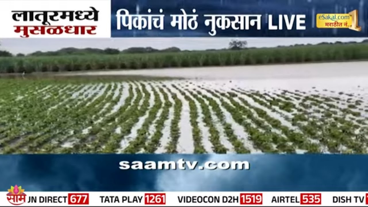 लातूरमध्ये मुसळधार, पिकांचं मोठं नुकसान! | Latur News