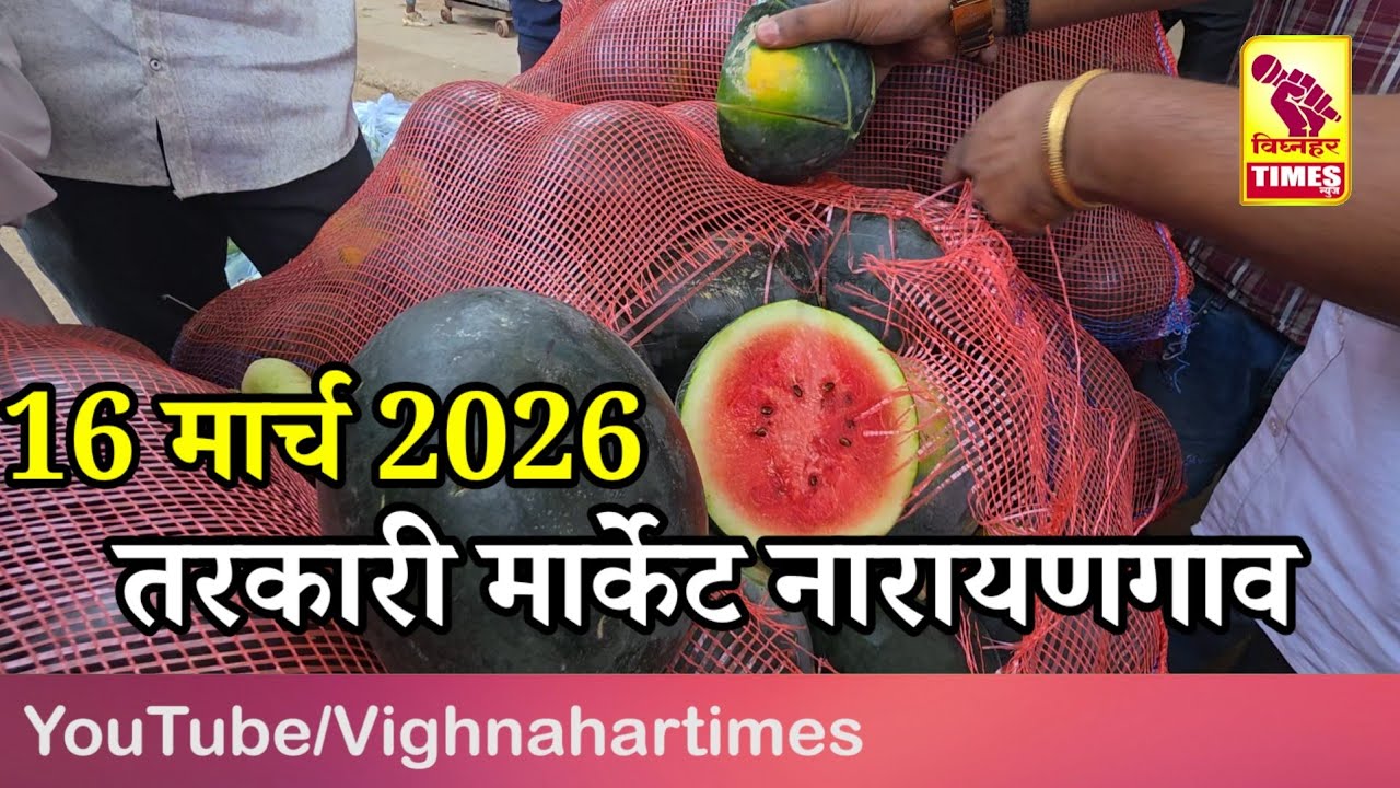 नारायणगाव तरकारी मार्केट l दिनांक 16 मार्च 2026 रोजी पहा काय मिळाला बाजारभाव ❓