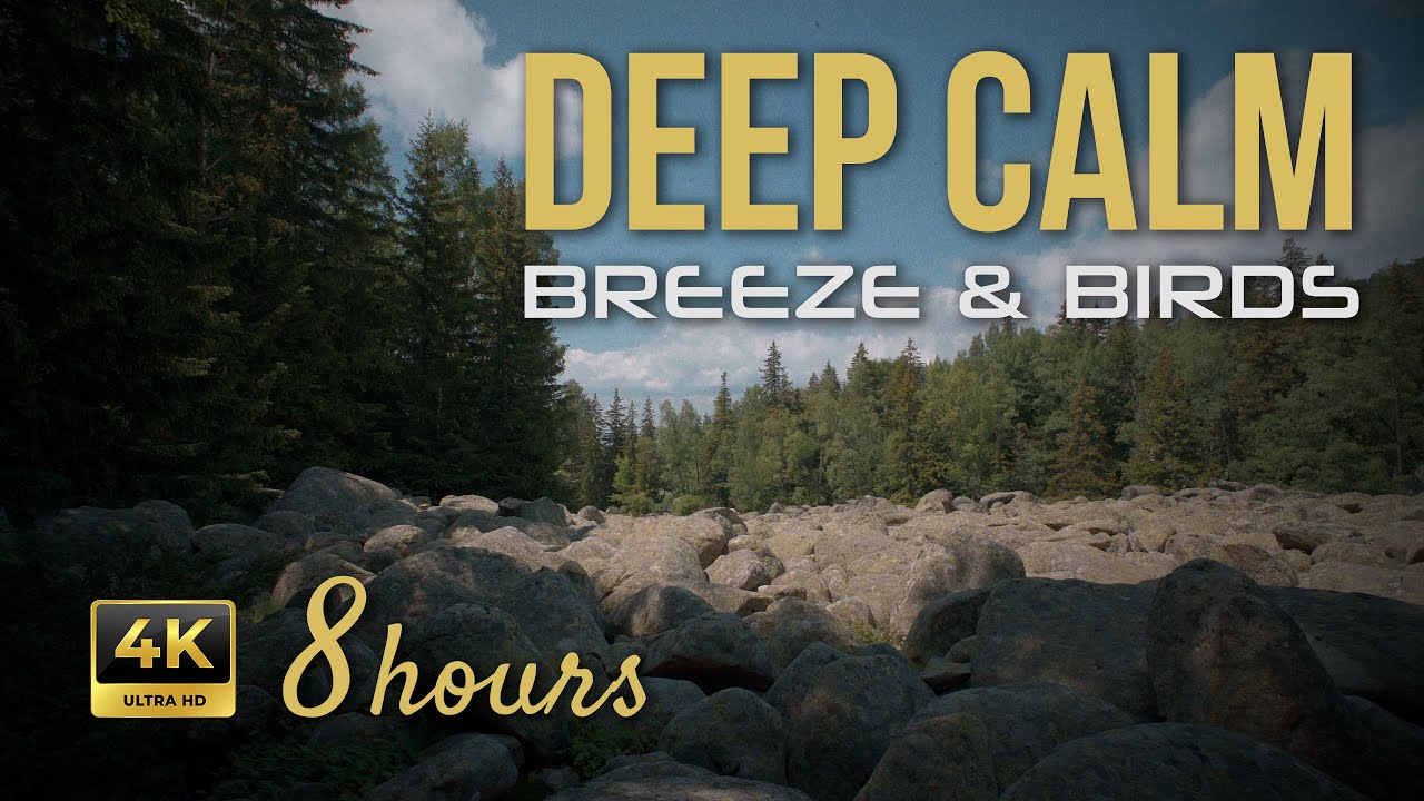8 Hours Deep Sleep Forest Sounds | Ancient River Stones Ambience