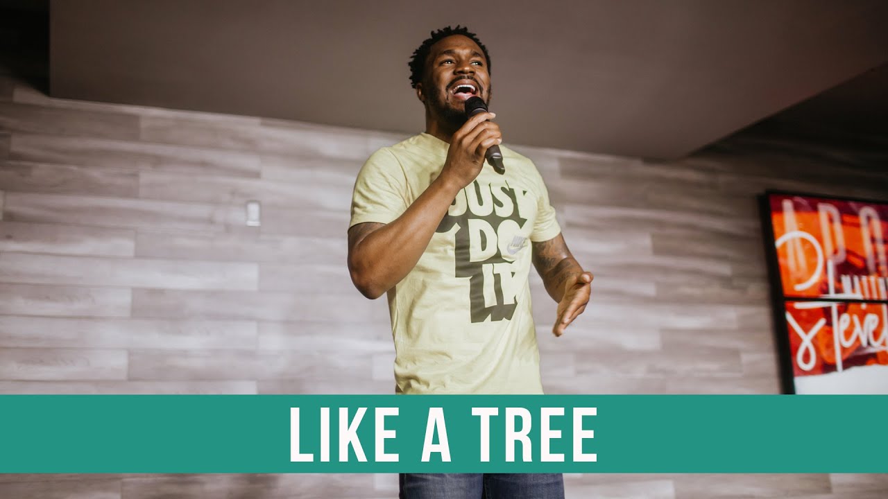 Like A Tree |  Dr. Matthew L. Stevenson
