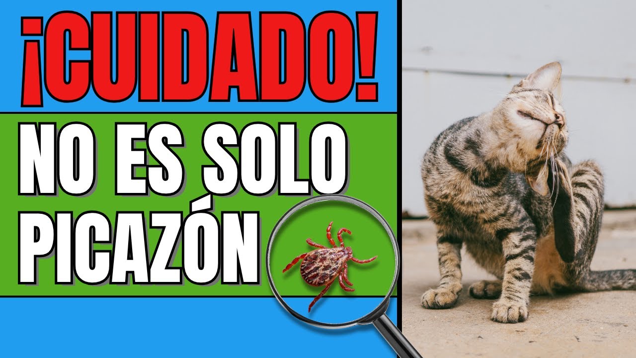 Alerta: ¡Las pulgas y garrapatas están matando a tus mascotas!
