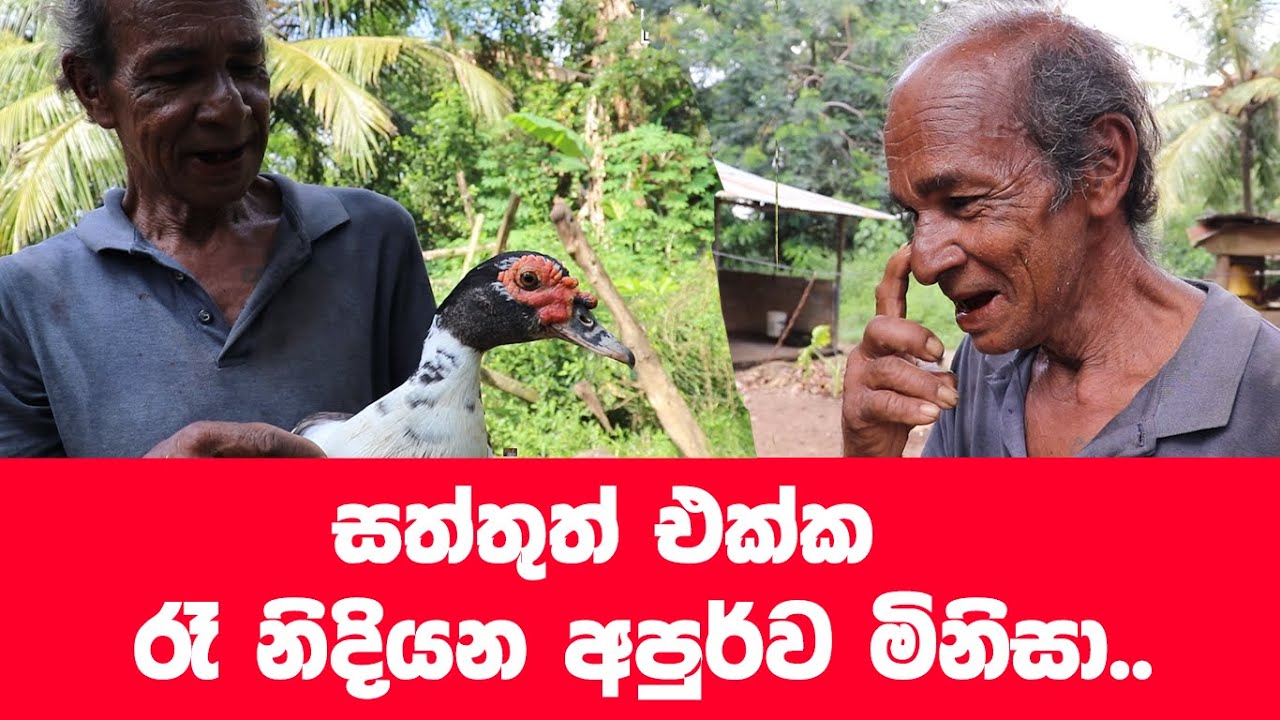 සත්තුත් එක්ක රෑට නිදන අපුර්ව මිනිසා