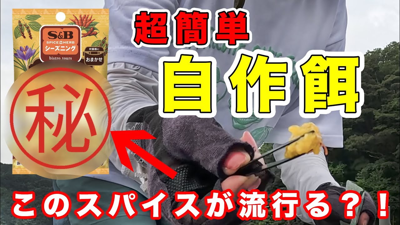 【海上釣堀】独特な香りと味が、惹きつける⁉️あのスパイスで超簡単自作餌‼️#海上釣堀  #海上釣り堀  #釣り #自作餌  #マドカメラ #madocamera