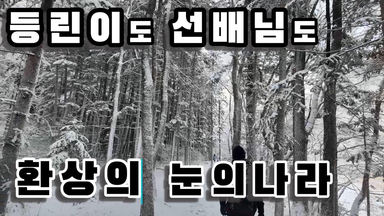 [4k] 등린이도 선배님도 모두 만족할 환상의 눈의나라 눈꽃산행길 1월의 평창 오대산 선재길 로 겨울설산여행 오세요