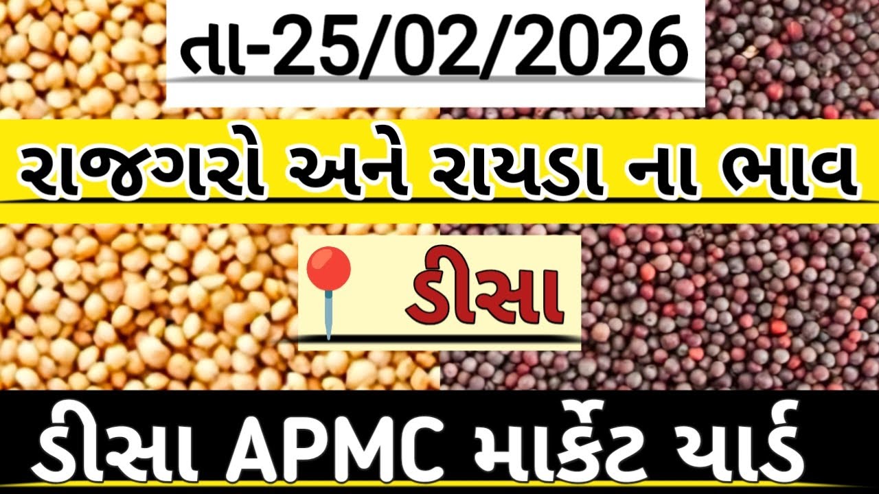 રાજગરો અને રાયડા ની હરાજી//deesa rajgaro and raida ni haraji//अनाज मंडी #deesa #farming #new #viral 