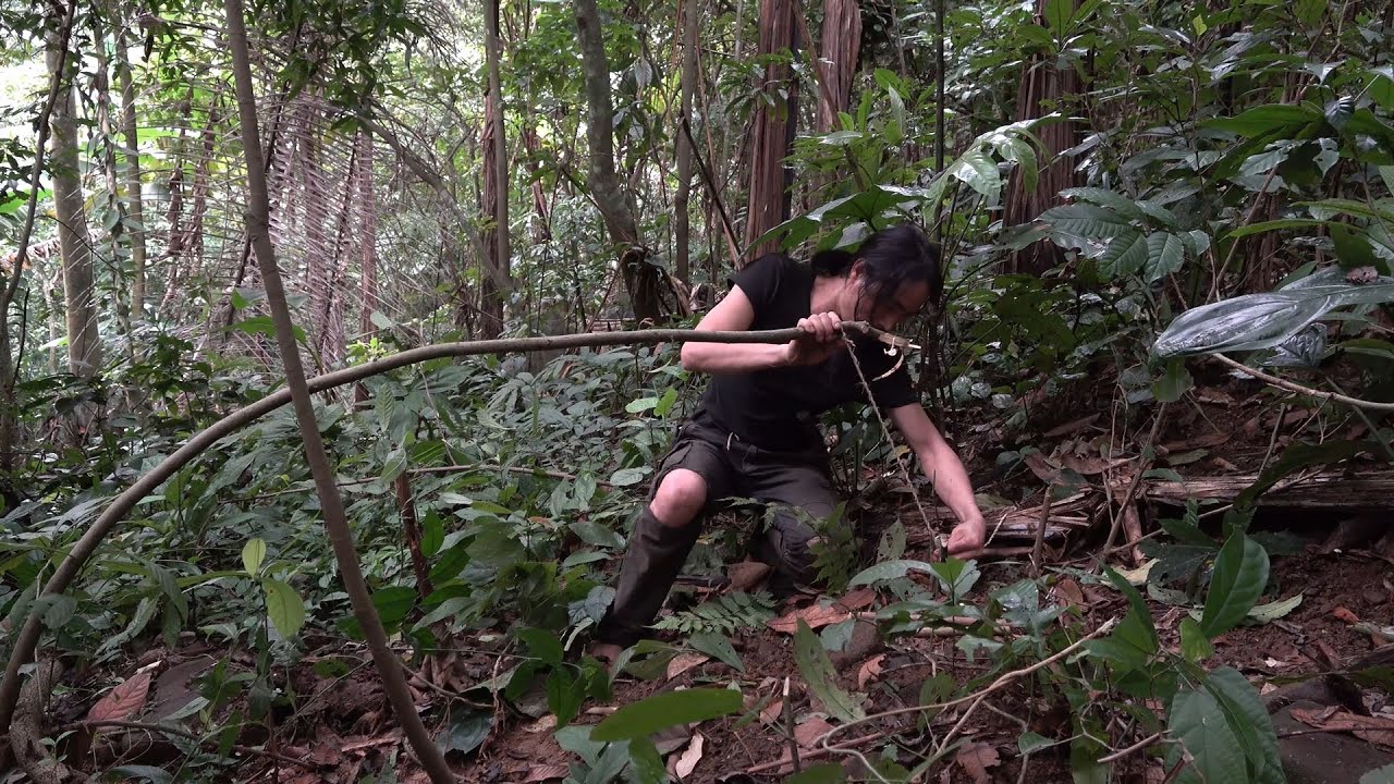 Set more traps to improve daily meals, Wilderness Alone, Episode 53